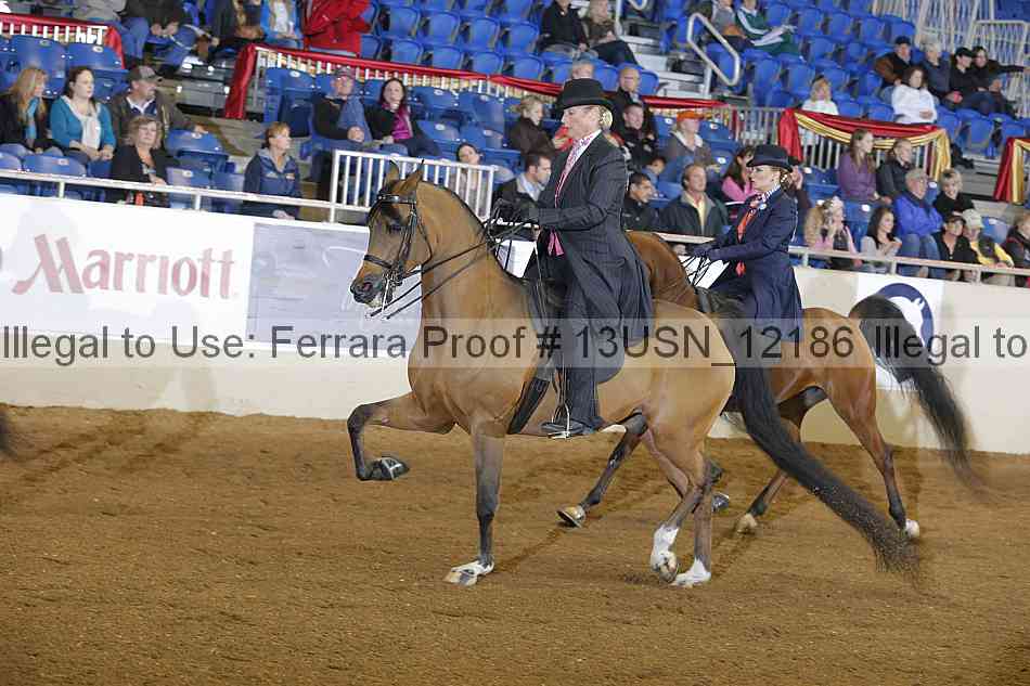 Proof 13usn_12186