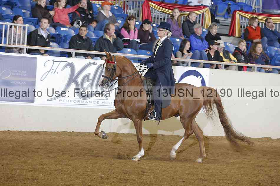 Proof 13usn_12190