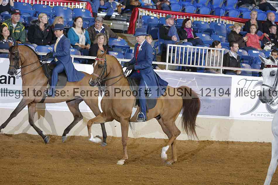 Proof 13usn_12194
