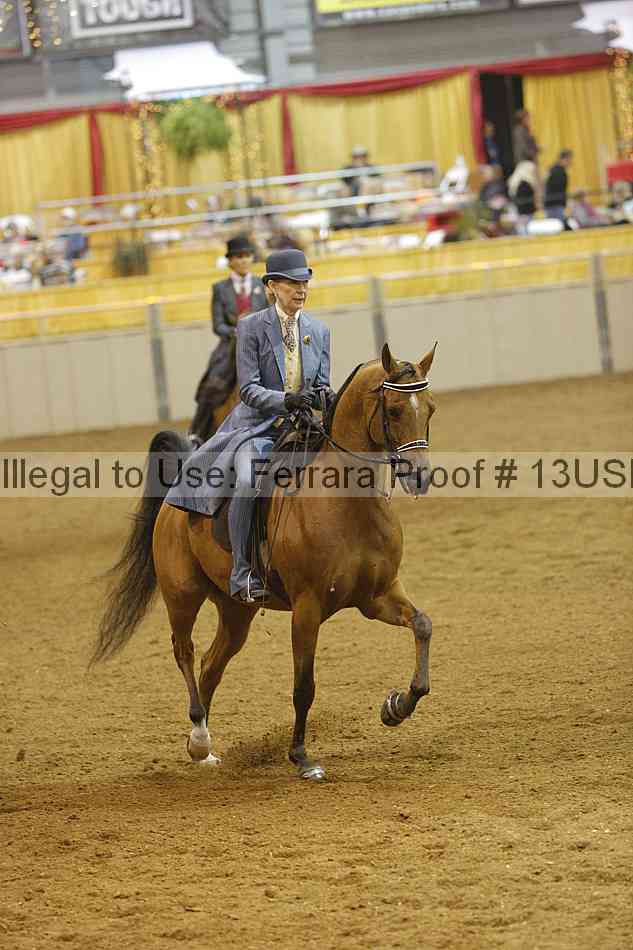 Proof 13usn_12195