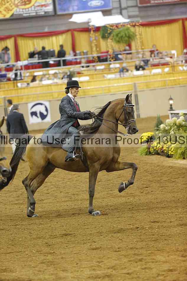 Proof 13usn_12196