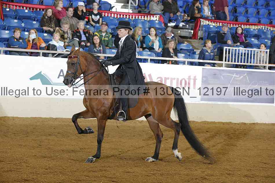 Proof 13usn_12197