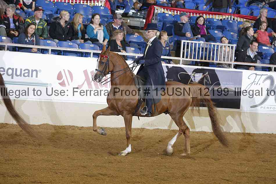 Proof 13usn_12199