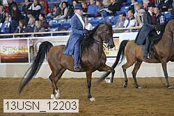 13usn_12203 proof
