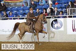 13usn_12205 proof