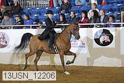 13usn_12206 proof