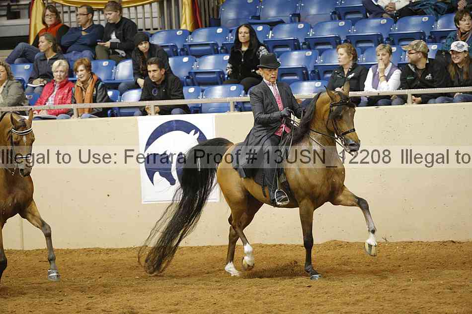 Proof 13usn_12208