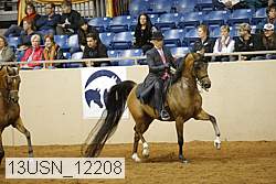 13usn_12208 proof