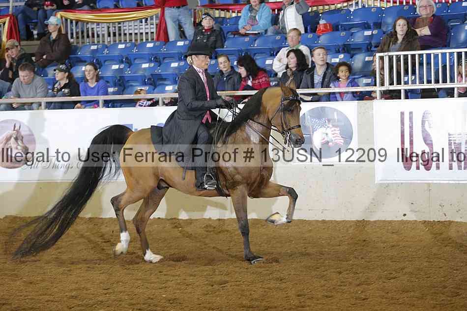 Proof 13usn_12209