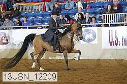 13usn_12209 proof