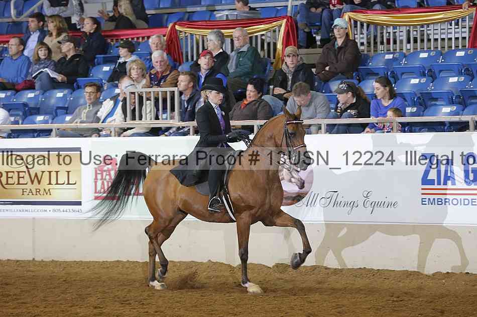 Proof 13usn_12224