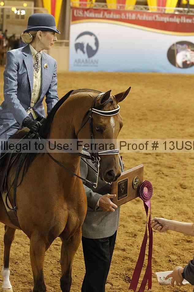 Proof 13usn_12253