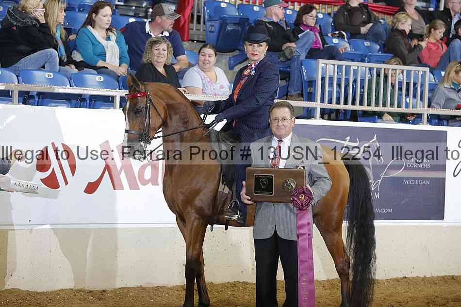 Proof 13usn_12254