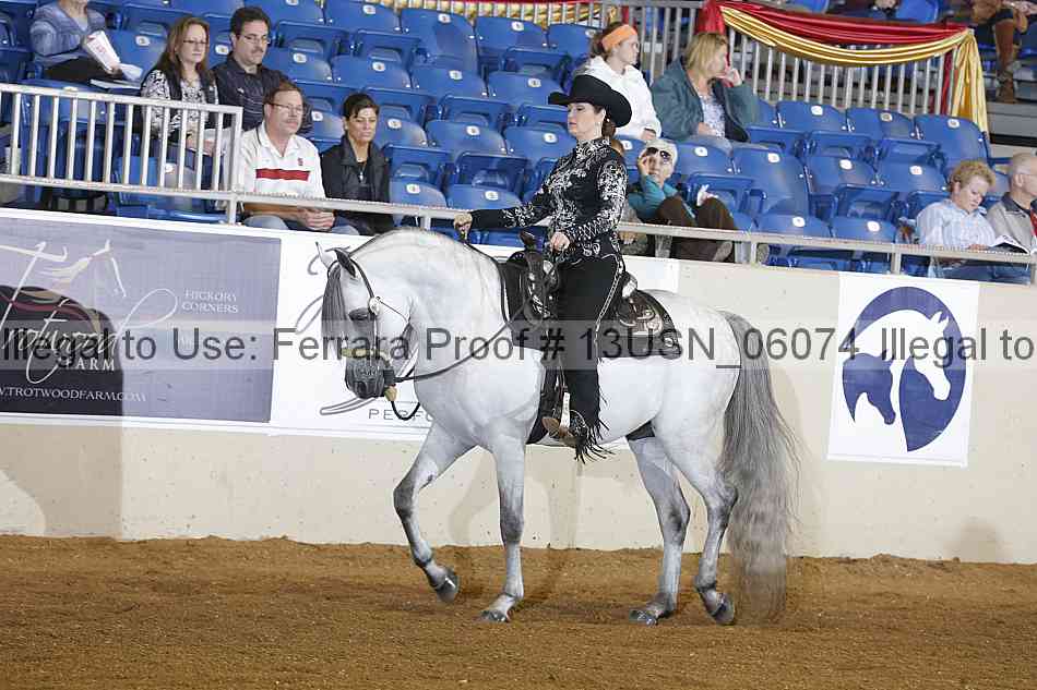 Proof 13usn_06074