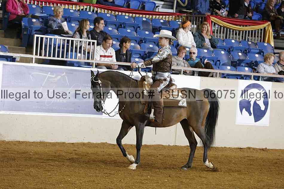 Proof 13usn_06075