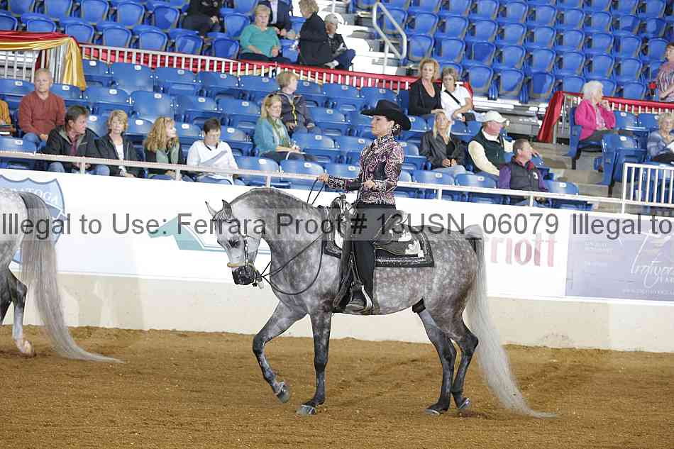 Proof 13usn_06079
