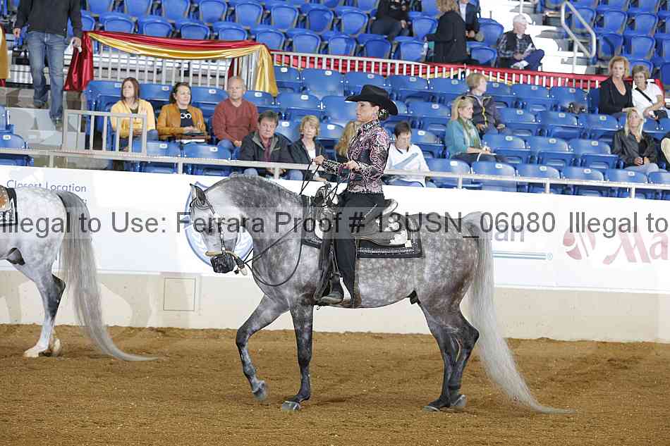 Proof 13usn_06080