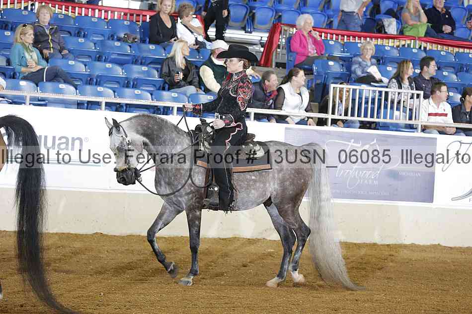 Proof 13usn_06085