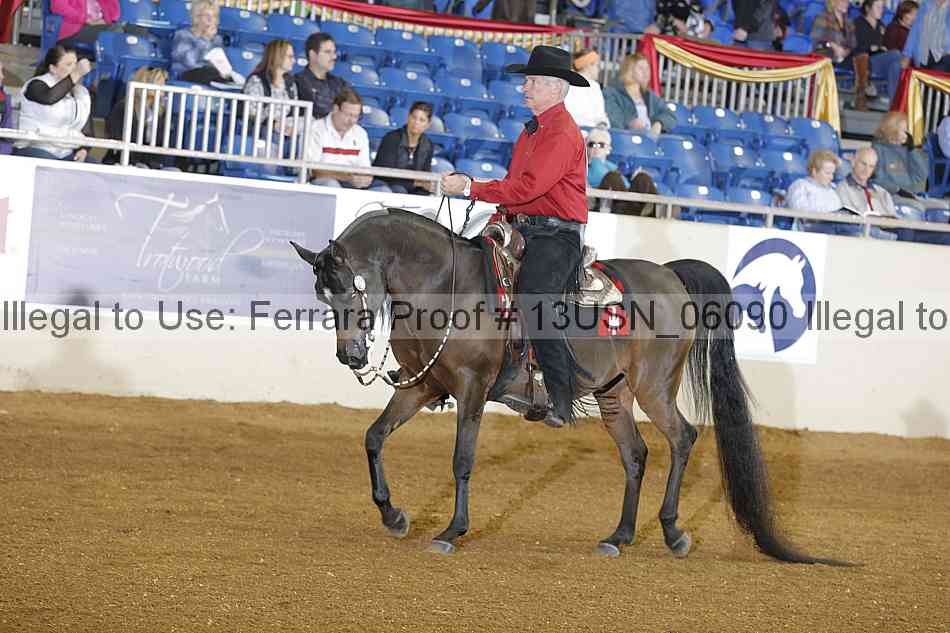 Proof 13usn_06090