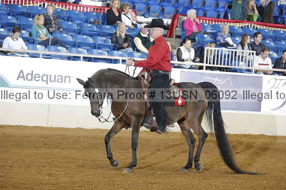 Proof 13usn_06092