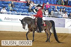 13usn_06092 proof