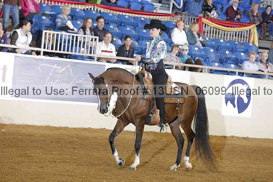 Proof 13usn_06099