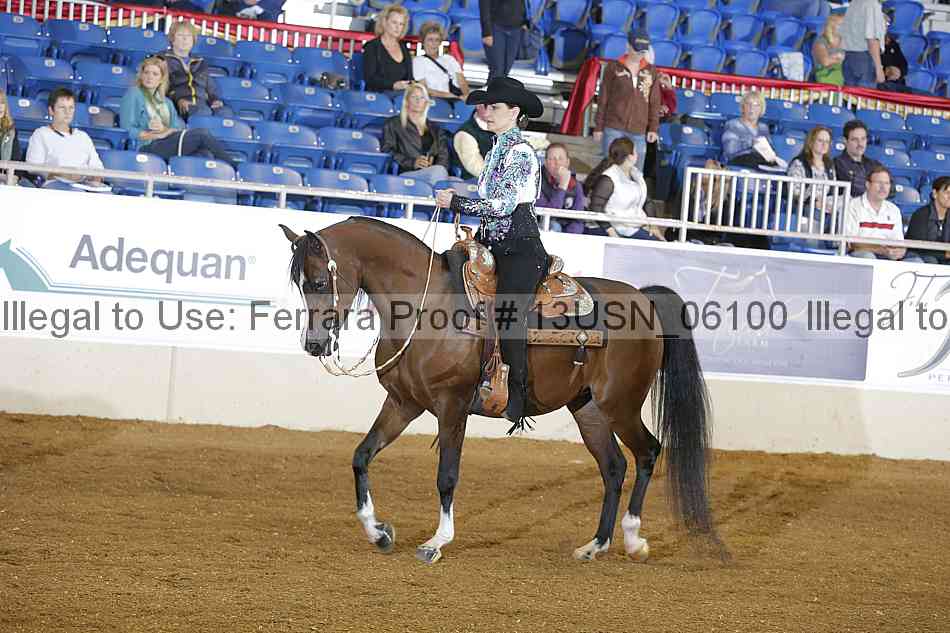 Proof 13usn_06100