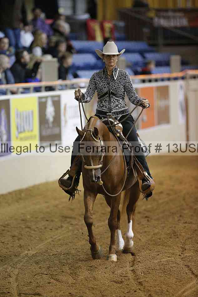 Proof 13usn_06101