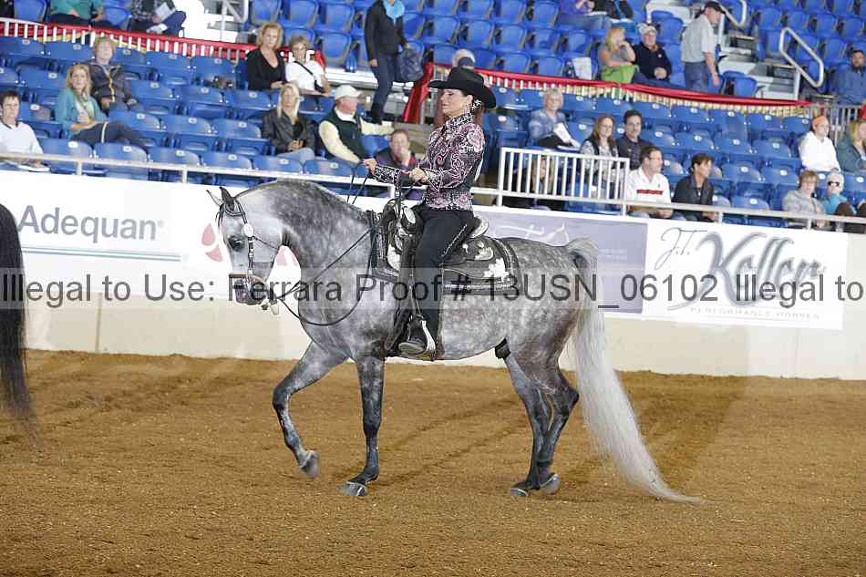 Proof 13usn_06102