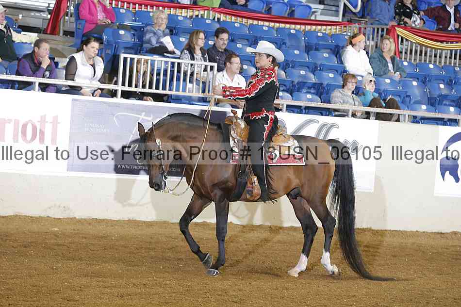 Proof 13usn_06105