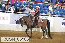 13usn_06105 proof