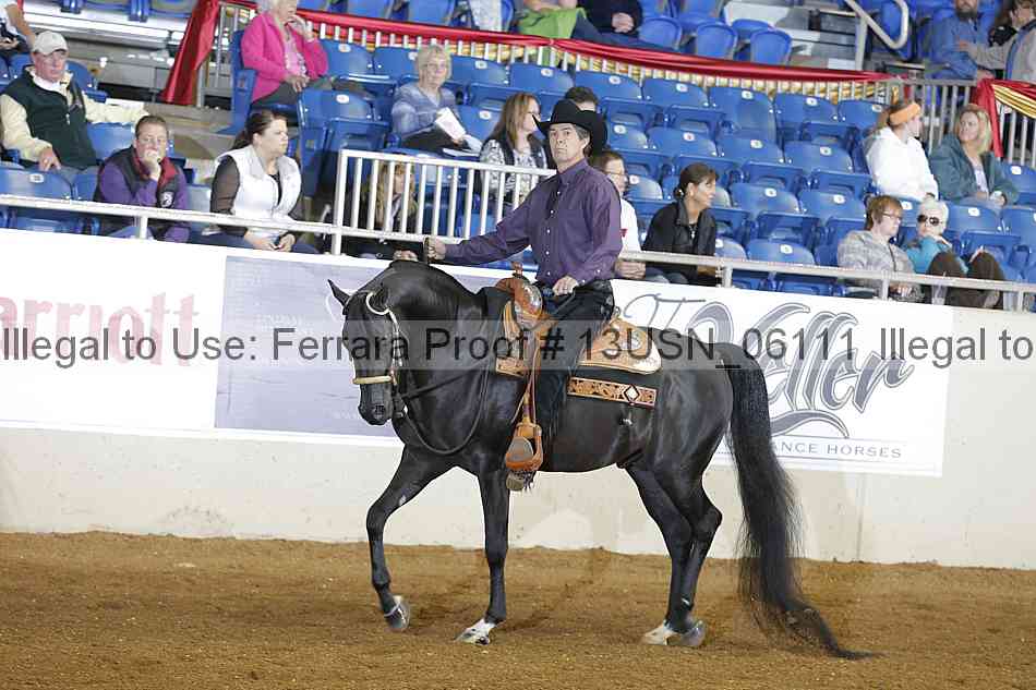 Proof 13usn_06111