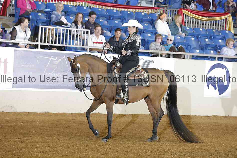 Proof 13usn_06113