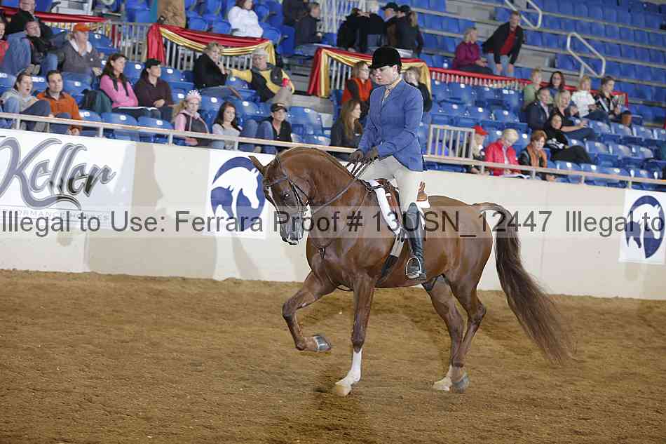 Proof 13usn_12447