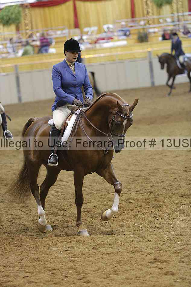 Proof 13usn_12459