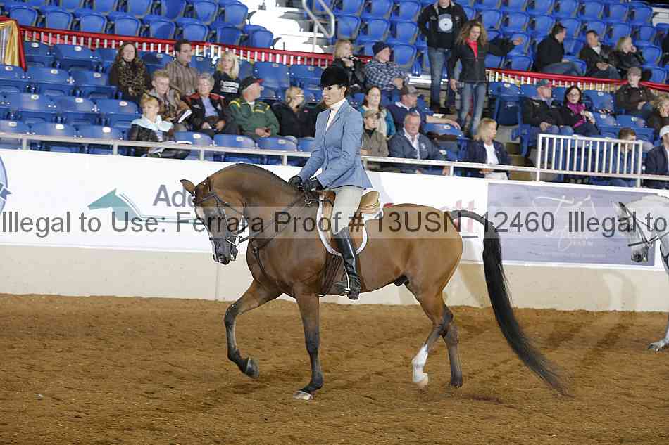 Proof 13usn_12460
