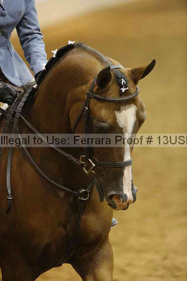 Proof 13usn_12489