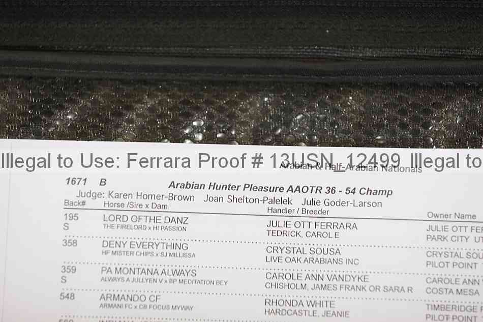 Proof 13usn_12499