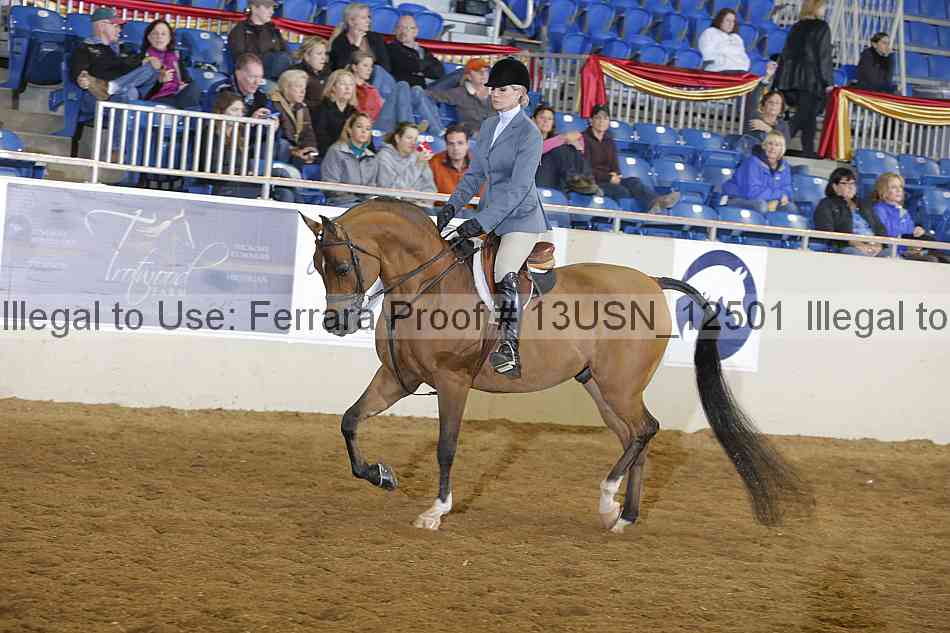 Proof 13usn_12501