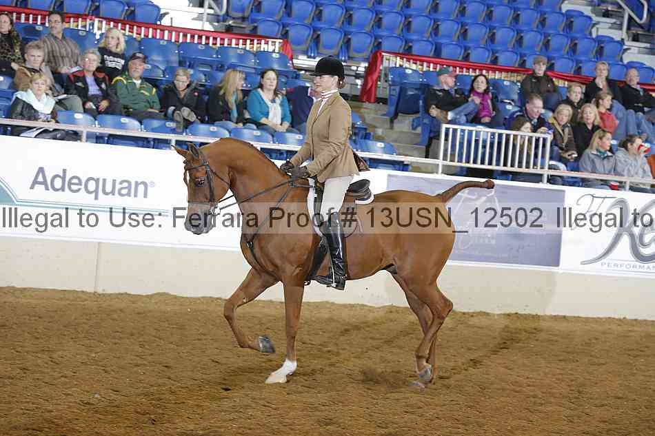 Proof 13usn_12502