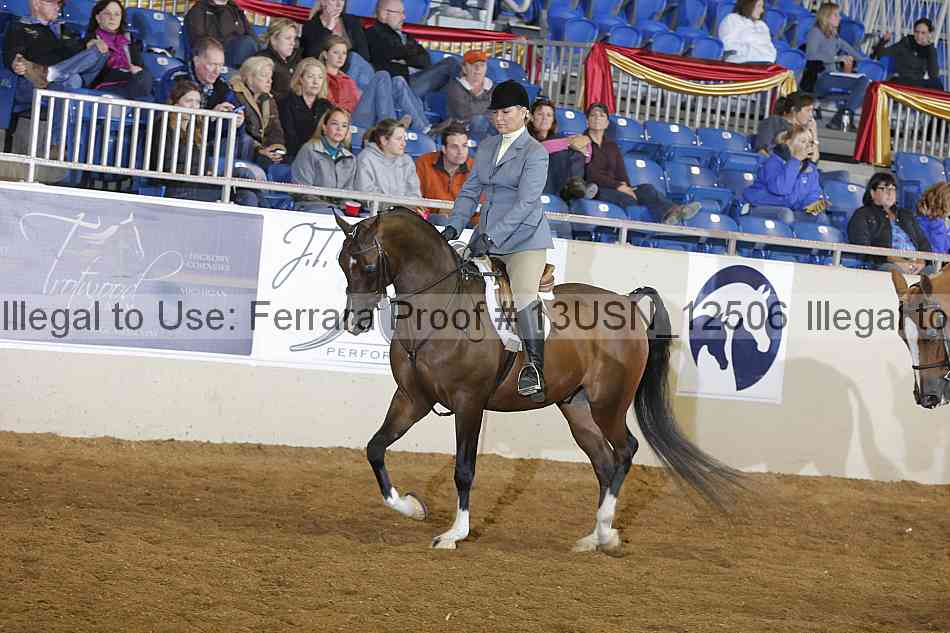 Proof 13usn_12506
