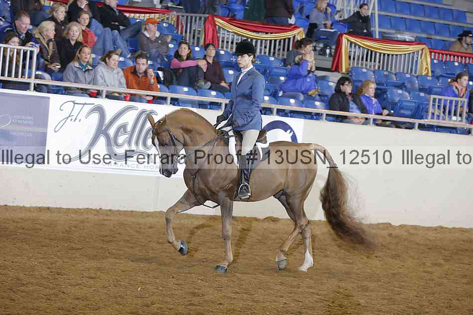 Proof 13usn_12510