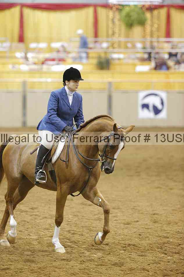 Proof 13usn_12515