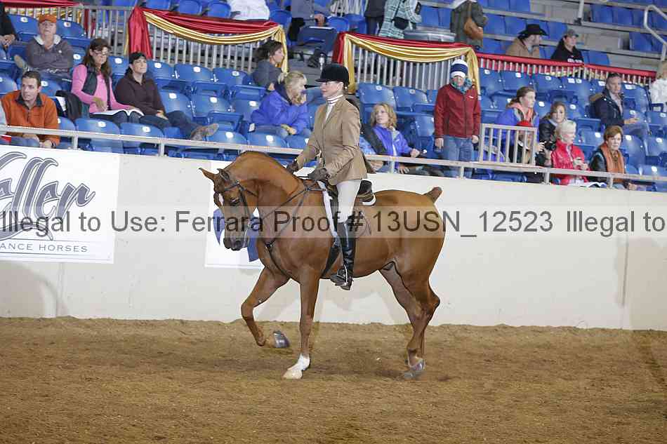 Proof 13usn_12523
