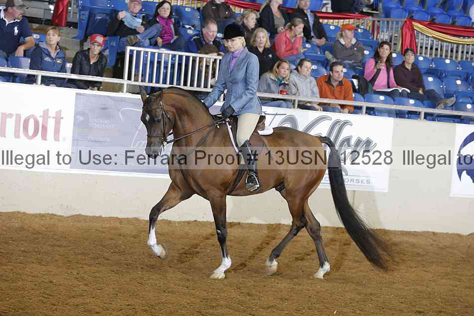 Proof 13usn_12528