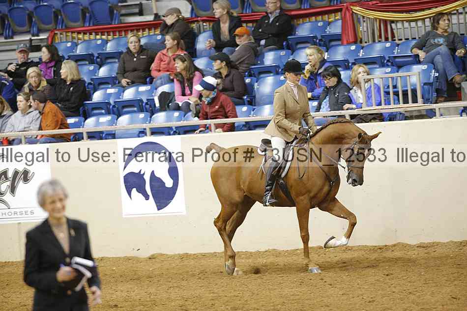 Proof 13usn_12533