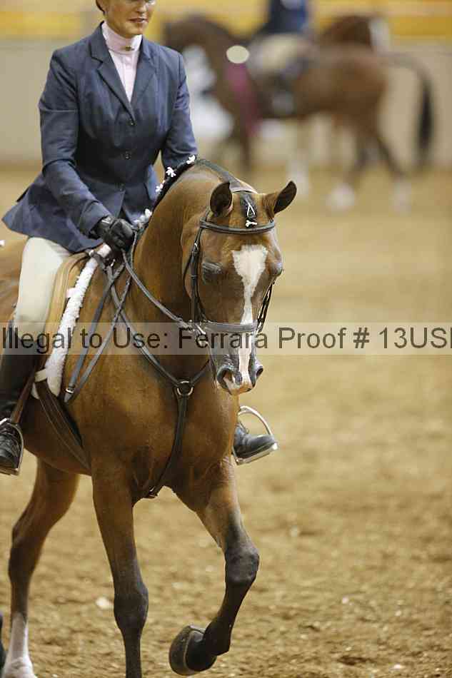 Proof 13usn_18627