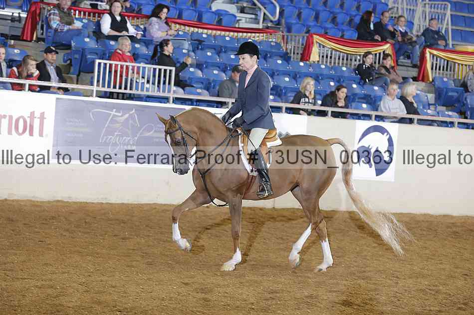 Proof 13usn_00363
