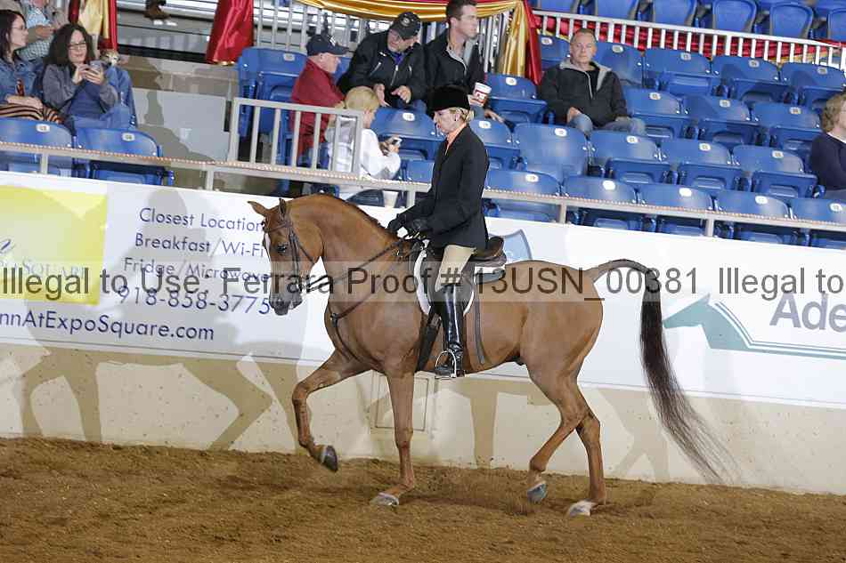 Proof 13usn_00381