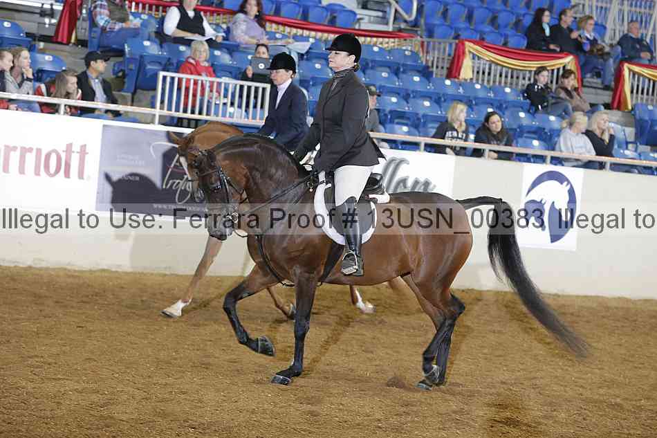 Proof 13usn_00383